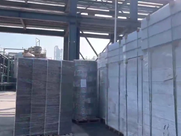 四川福華集團  二乙酯項目，塔內(nèi)件，填料